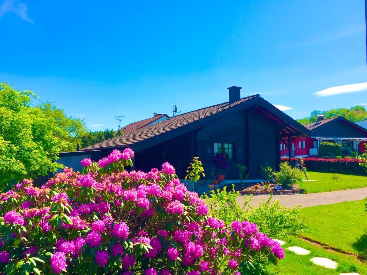 Ferienhaus Bergglueck Nonnweiler Dış mekan fotoğraf